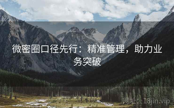 微密圈口径先行：精准管理，助力业务突破